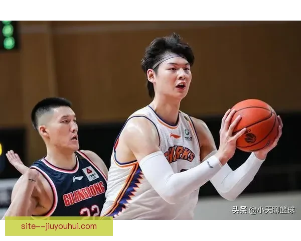 国家队核心球员伤停原因分析及其对球队表现的影响 国家队核心球员伤停原因分析及其对球队表现的影响